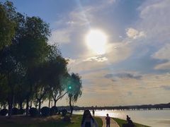 -丁香湖公园