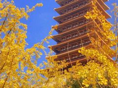 -牛首山文化旅游区