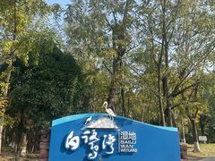 -白鹭湾湿地公园