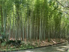 -同里国家湿地公园