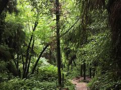 -青城山
