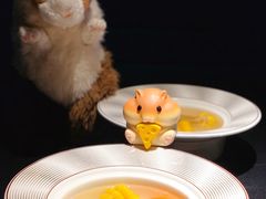 例汤-凤凰湘语·湘粤鲜融(浦东旗舰店)