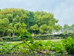 -潮府馆·非遗潮州菜·港式点心(世纪公园店)