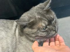 -乐果甜心·潮汕冰室(南澳后宅分店)