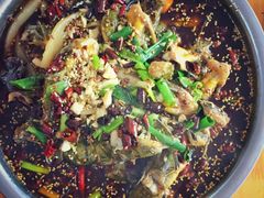 黄辣丁-卧龙鱼庄