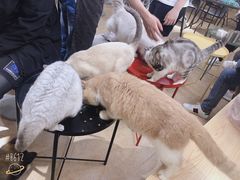 -东吴水韵(吴中店)