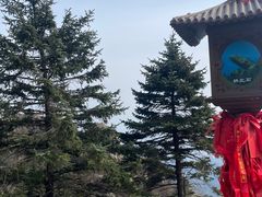 -泰山风景名胜区