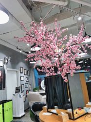 -时尚殿堂明星门店