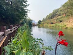 -桃花岭景区