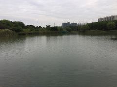 -昆山城市生态森林公园