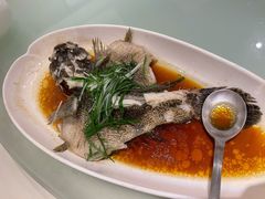 -陶然轩(沙面店)
