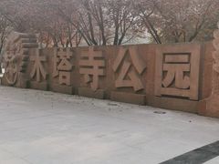 -木塔寺遗址生态公园