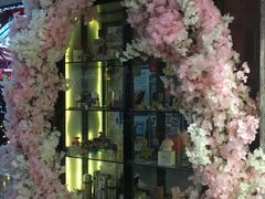 -飞歌e族KTV(雄楚1号店)