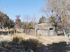 -莫子山公园