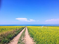 -青海湖国家重点风景名胜区