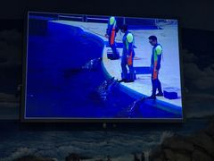 -福州罗源湾海洋世界旅游区