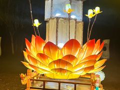 -武汉园博园(武汉自然博物馆)