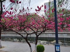 -元大都城垣遗址公园