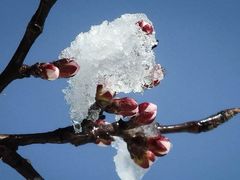 -长春世界雕塑园冰雪艺术天地