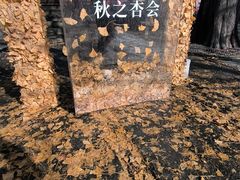 -承恩寺