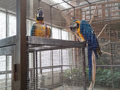 -南宫五洲植物乐园