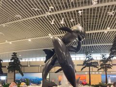 -青岛胶东国际机场