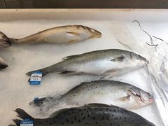 -沃尔玛(中山北路店)