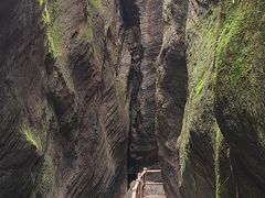 -牛背梁国家森林公园