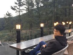 -汉拿树木园
