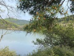 -南京市无想山景区