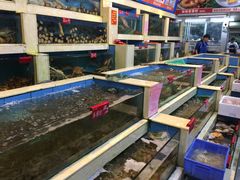 水产区-旺富东海大酒楼(海鲜街店)