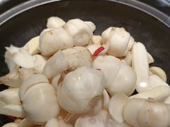 -宴礼烤鸭本味菜(蠡县商业步行街店)