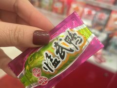 -舜华临武鸭·湖南零食特产(三王街店)