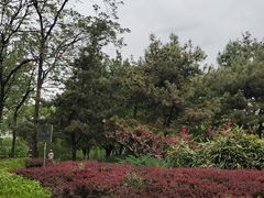 -元大都城垣遗址公园