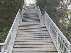 -佛山华盖山公园