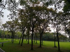 -中国浦东干部学院