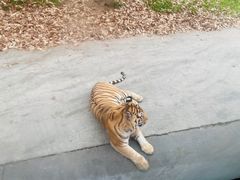 -西安秦岭野生动物园