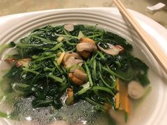 上汤苋菜-广东胜利宾馆西关粤中餐厅