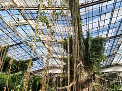 -呀路古热带植物园