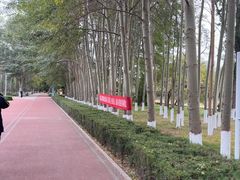 -阿尔丁植物园