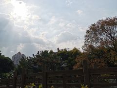 -深圳国际园林花卉博览园