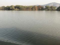 -长兴太湖图影湿地文化园