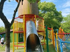 -上海海湾国家森林公园