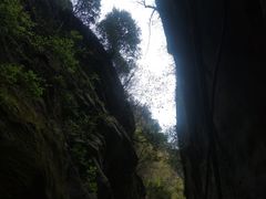 -黑河国家森林公园