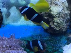 -沈阳海洋探索中心