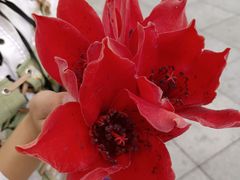 -广州中山纪念堂