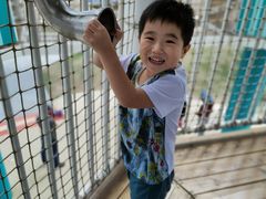 -季高兔窝窝亲子园(上海薰衣草公园店)