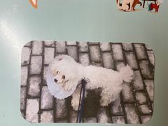 -美联众合动物医院·24h转诊中心