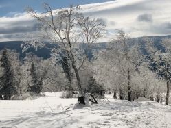 -大秃顶子山