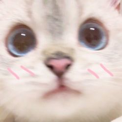 -OAE日式皮肤管理お肌の